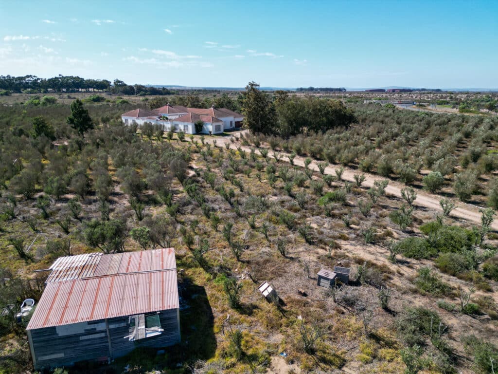 Urgent Sale: ± 5.1Ha Lifestyle Small Holding Eenzaamheid, Western Cape (Termination of joint ownership)