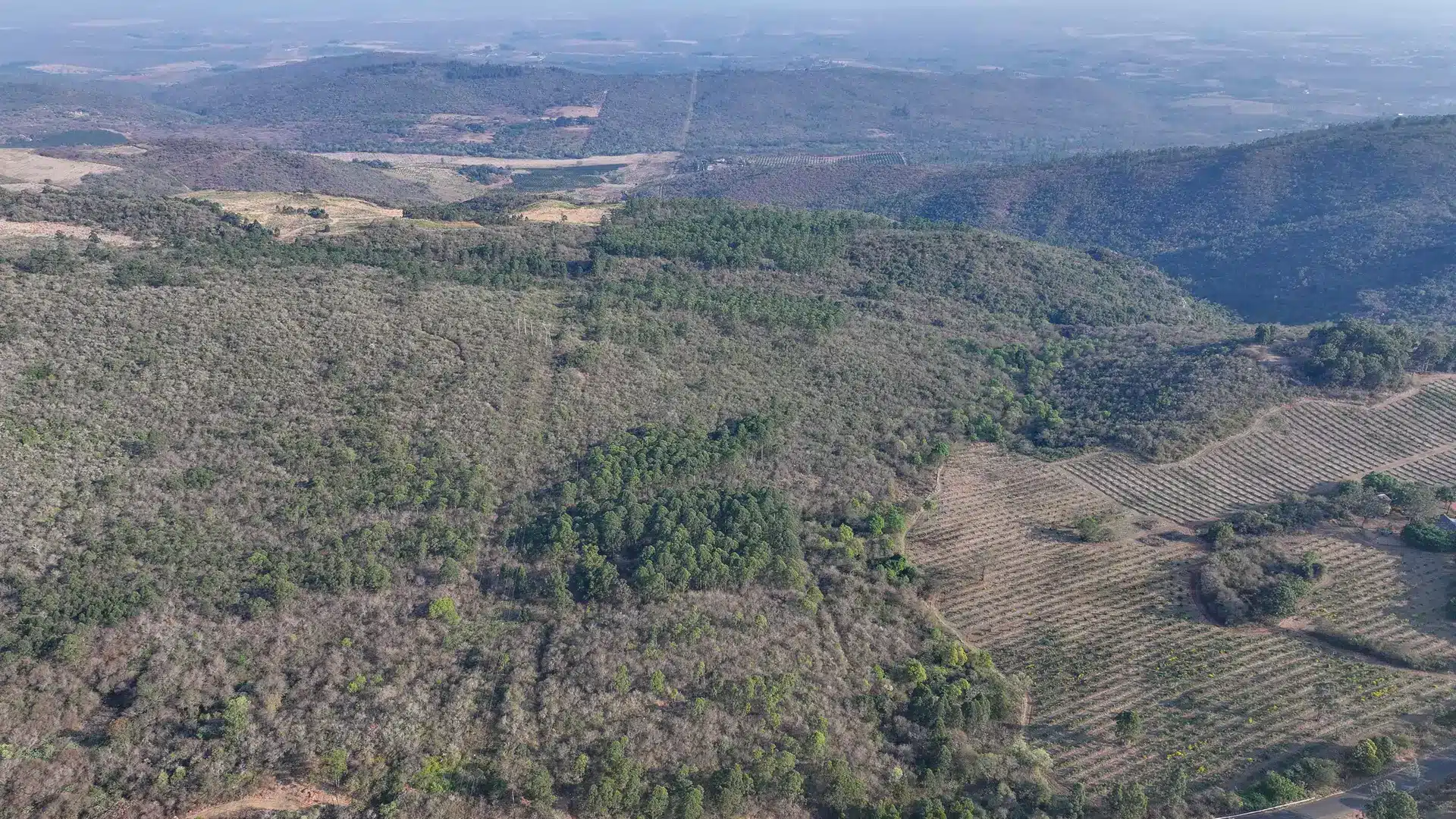 Vacant Agricultural Property in Limpopo – Insolvent Estate Urgent Sale