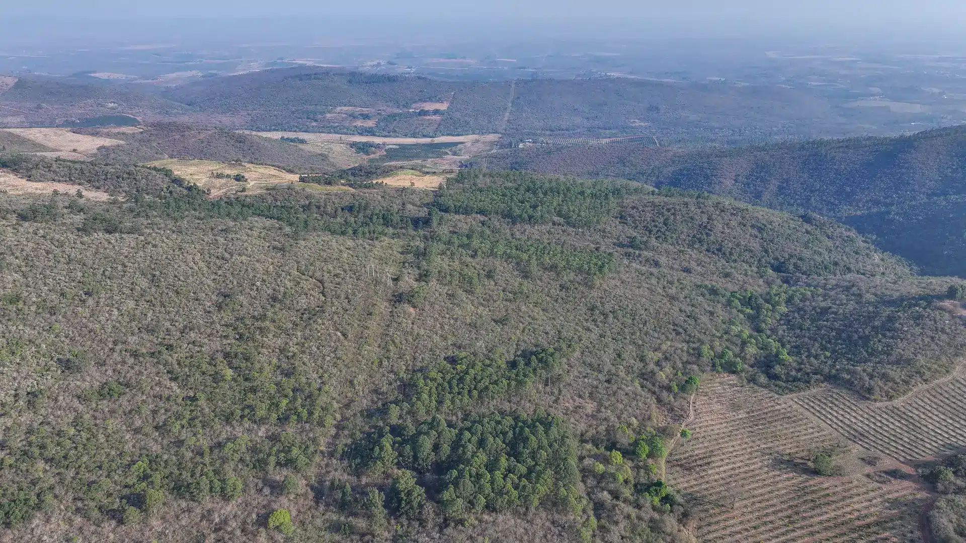 Vacant Agricultural Property in Limpopo – Insolvent Estate Urgent Sale