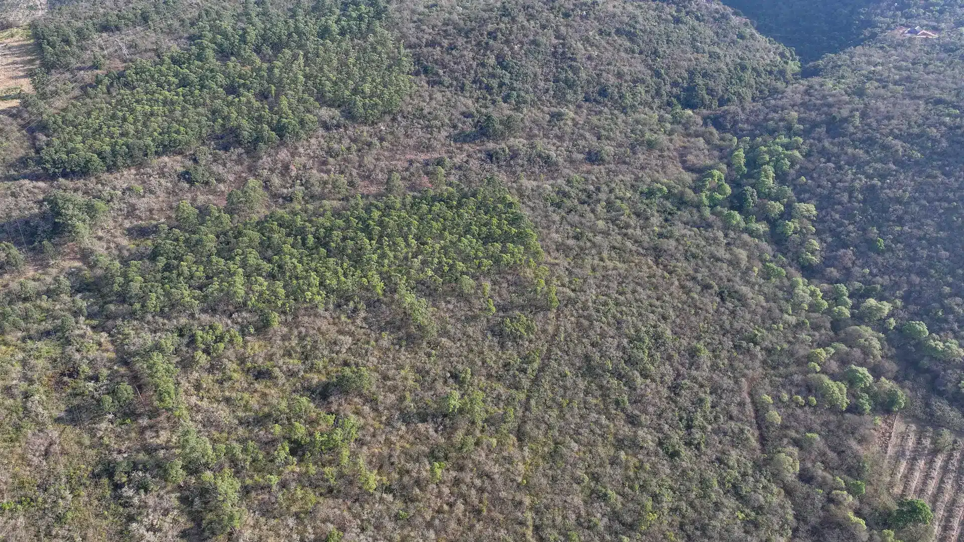 Vacant Agricultural Property in Limpopo – Insolvent Estate Urgent Sale
