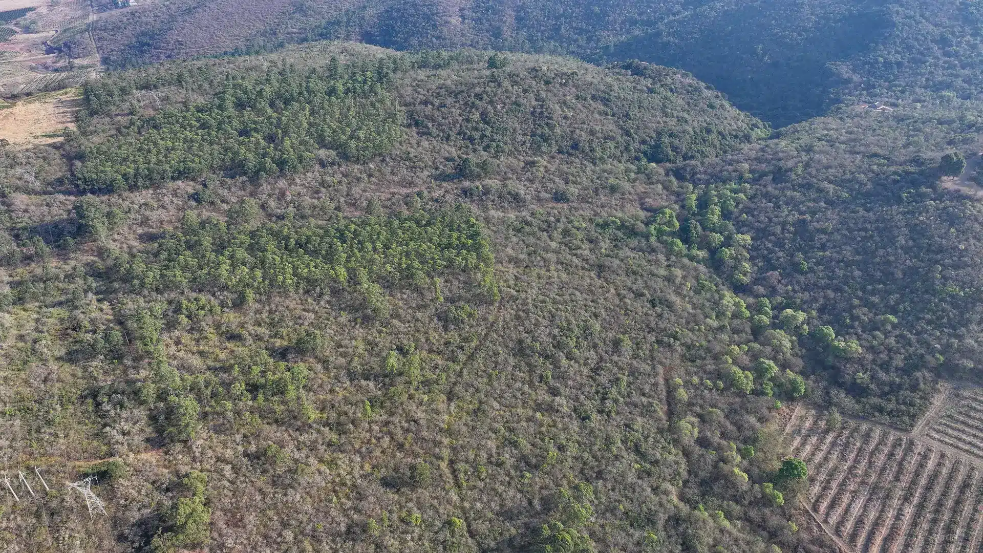 Vacant Agricultural Property in Limpopo – Insolvent Estate Urgent Sale