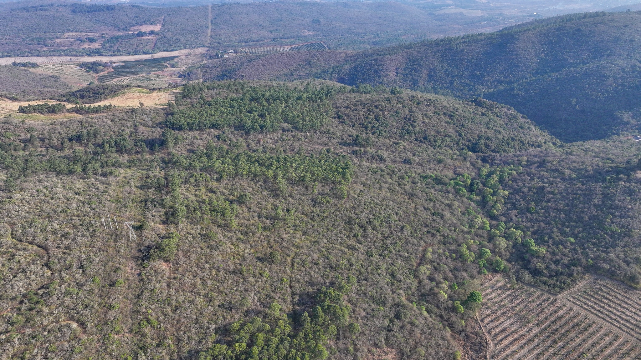 Vacant Agricultural Property in Limpopo – Insolvent Estate Urgent Sale
