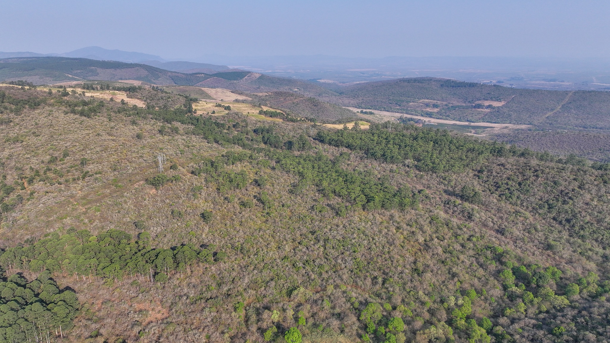 Vacant Agricultural Property in Limpopo – Insolvent Estate Urgent Sale