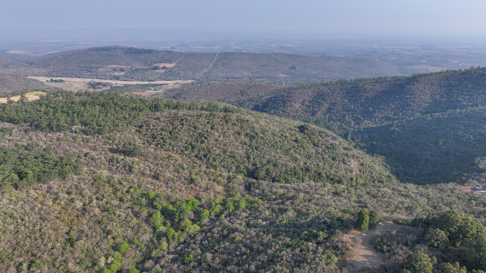 Vacant Agricultural Property in Limpopo – Insolvent Estate Urgent Sale