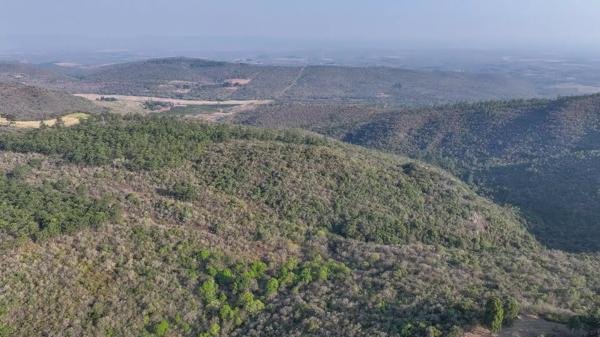 Vacant Agricultural Property in Limpopo – Insolvent Estate Urgent Sale