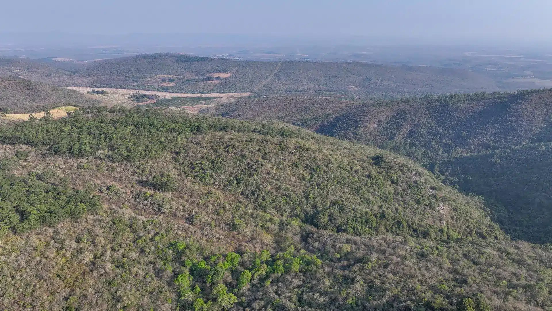 Vacant Agricultural Property in Limpopo – Insolvent Estate Urgent Sale