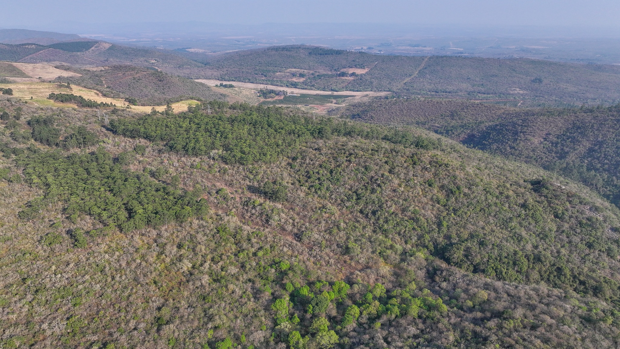Vacant Agricultural Property in Limpopo – Insolvent Estate Urgent Sale