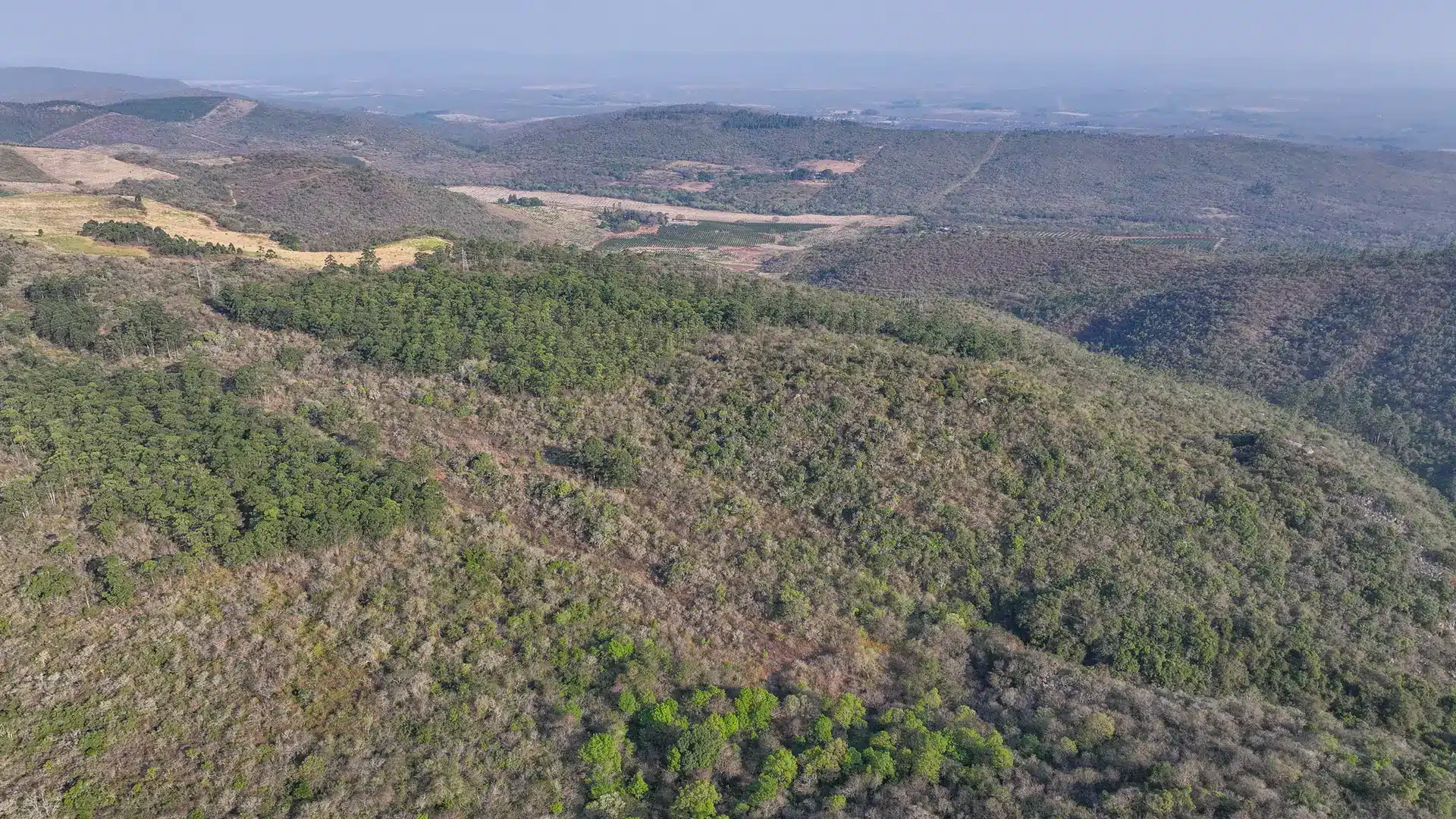 Vacant Agricultural Property in Limpopo – Insolvent Estate Urgent Sale