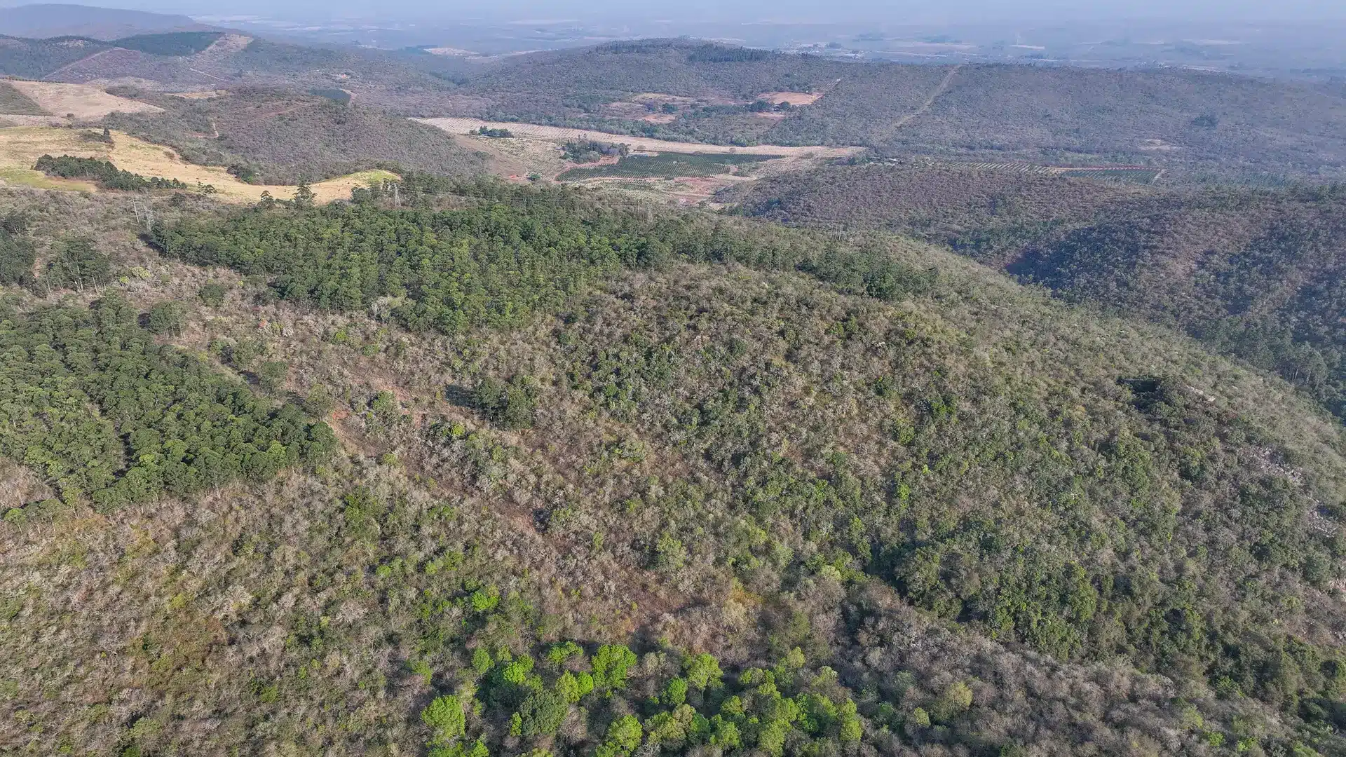 Vacant Agricultural Property in Limpopo – Insolvent Estate Urgent Sale
