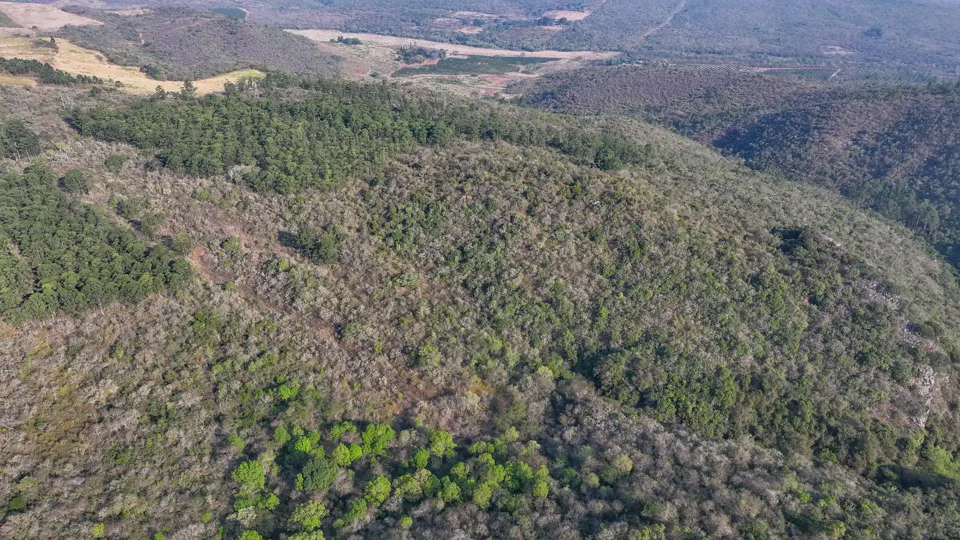 Vacant Agricultural Property in Limpopo – Insolvent Estate Urgent Sale
