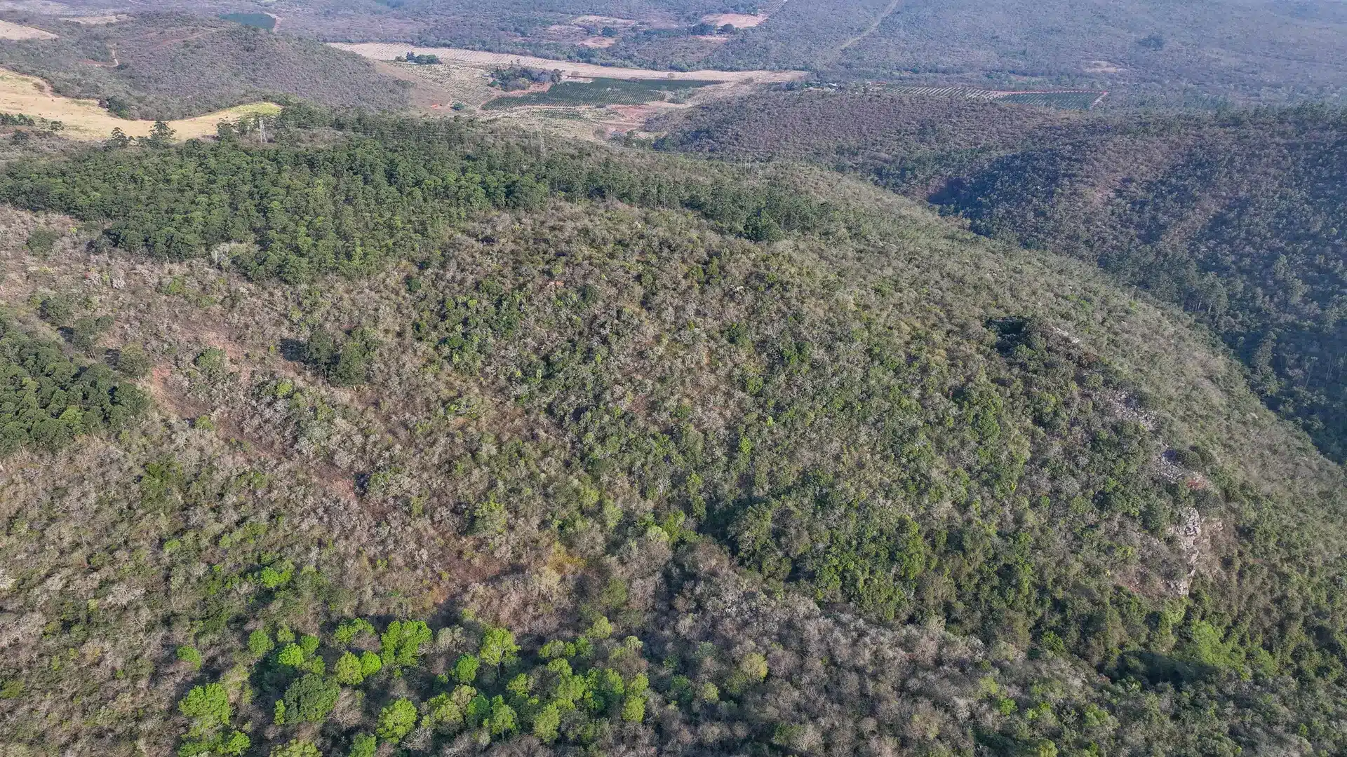Vacant Agricultural Property in Limpopo – Insolvent Estate Urgent Sale
