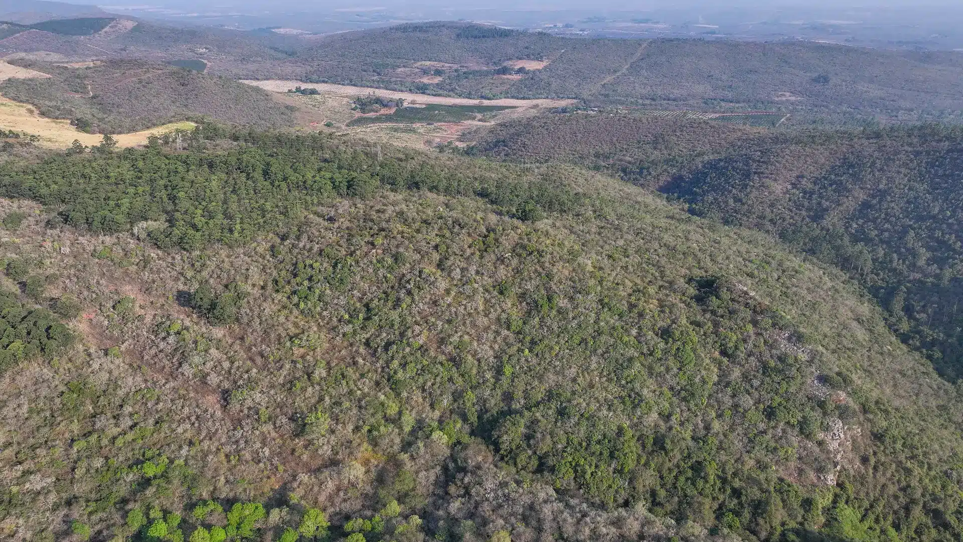 Vacant Agricultural Property in Limpopo – Insolvent Estate Urgent Sale