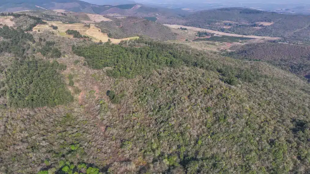 Vacant Agricultural Property in Limpopo – Insolvent Estate Urgent Sale
