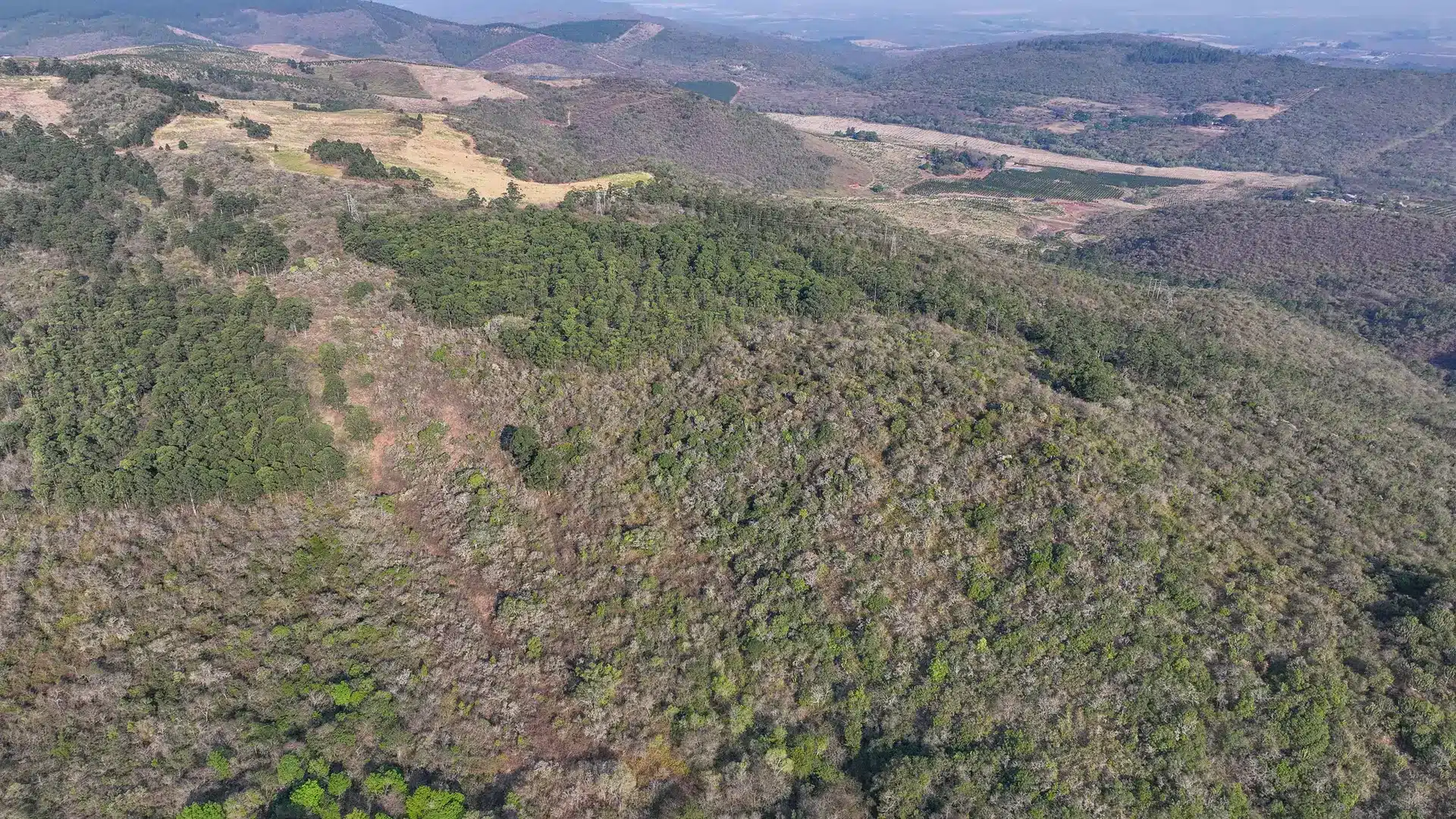 Vacant Agricultural Property in Limpopo – Insolvent Estate Urgent Sale