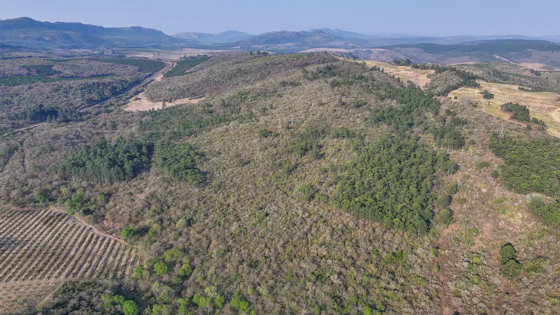 Vacant Agricultural Property in Limpopo – Insolvent Estate Urgent Sale