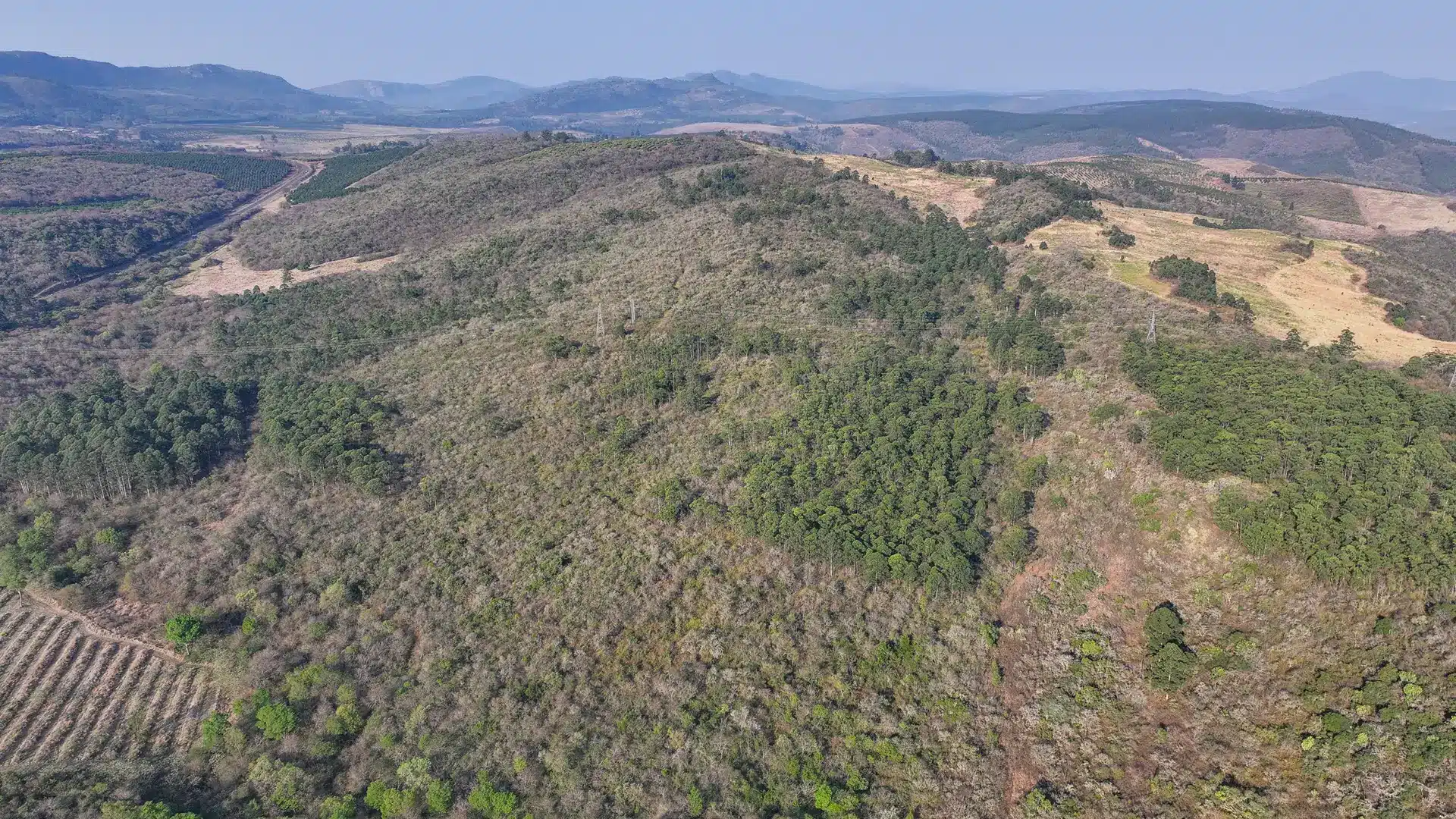 Vacant Agricultural Property in Limpopo – Insolvent Estate Urgent Sale