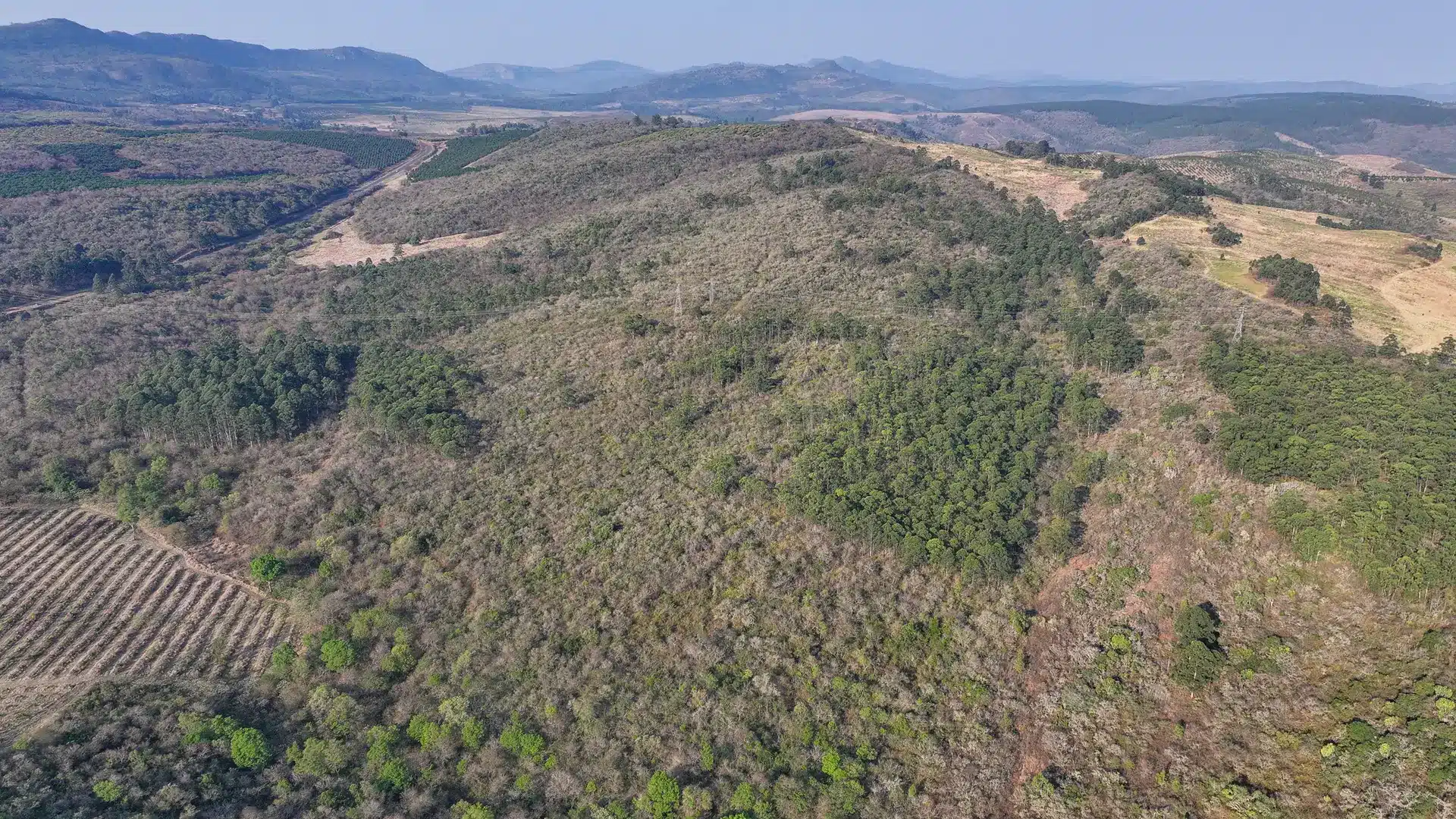 Vacant Agricultural Property in Limpopo – Insolvent Estate Urgent Sale