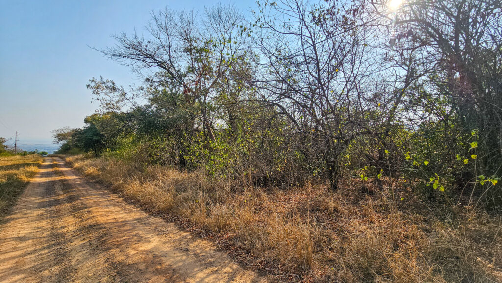 Insolvent Estate Auction: ± 8.5HA Vacant Land – Louis Trichardt, Limpopo