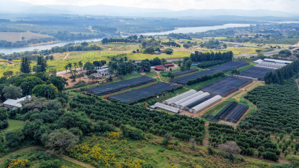 Online Auction ± 32,8Ha Prime Property with development potential – Pusela Agricultural Holding, Tzaneen