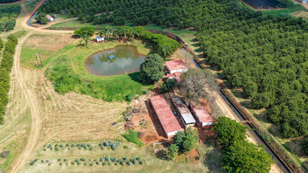 Online Auction ± 32,8Ha Prime Property with development potential – Pusela Agricultural Holding, Tzaneen