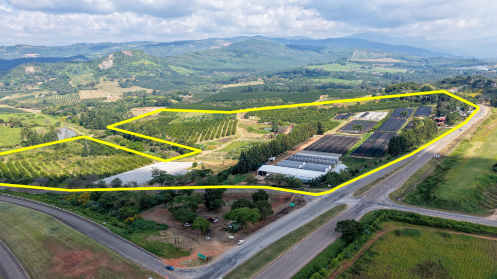 Online Auction ± 32,8Ha Prime Property with development potential – Pusela Agricultural Holding, Tzaneen