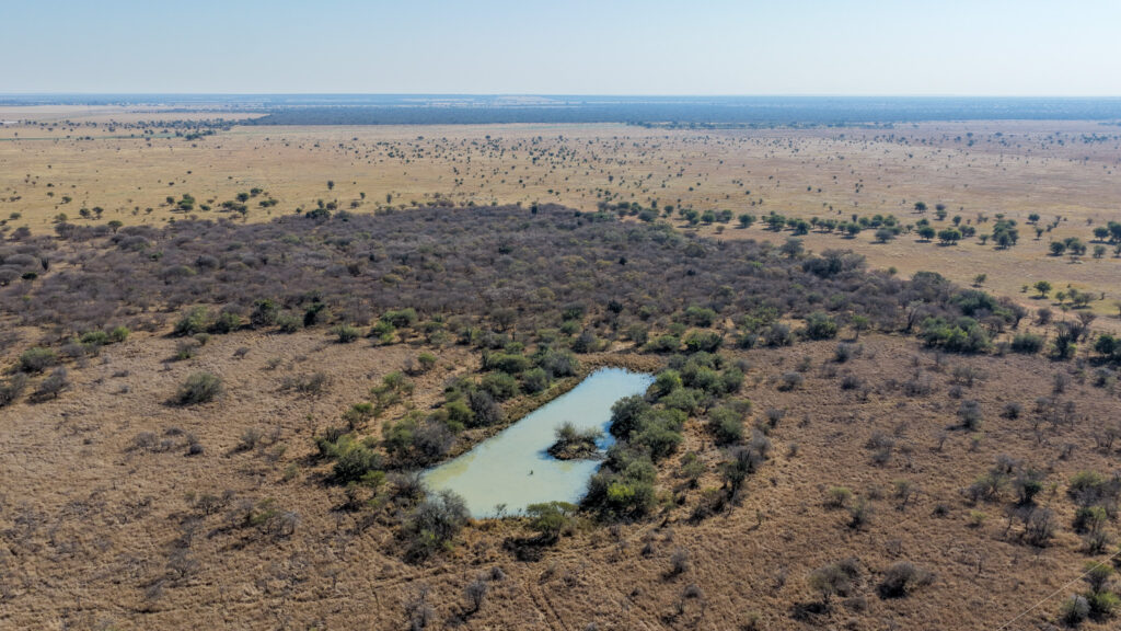 ± 749Ha Cattle Farm, Springbok Flats, Limpopo – Online Auction