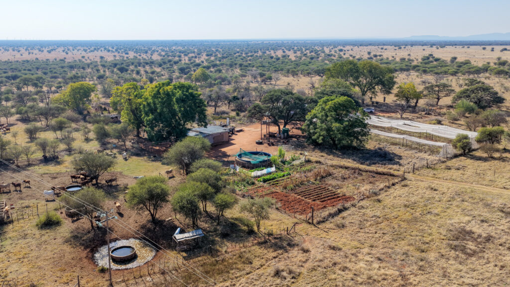 ± 749Ha Cattle Farm, Springbok Flats, Limpopo – Online Auction